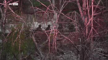 Guarra in Ucraina, prosgeue offensiva russa sul Donbass