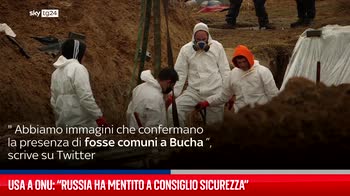 Ucraina, Usa all?Onu: ?La Russia ha mentito?