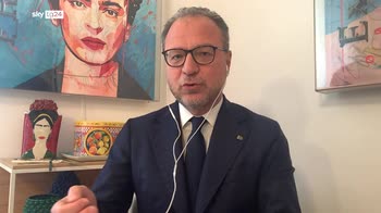 Armi, Mul�: posizione M5S poco seria e strumentale
