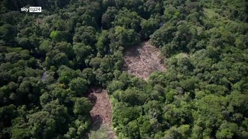 ERROR! Leader Karipuna: noi da soli a difendere l'Amazzonia