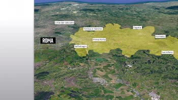 Peste suina, i casi salgono a 6, luned� ordinanza sugli abbattimenti