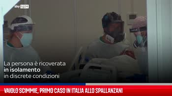 Vaiolo scimmie, primo caso in Italia allo Spallanzani
