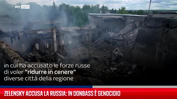 Zelensky accusa la Russia: in Donbass � genocidio