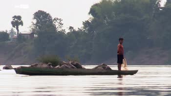 Cambogia, rischia di scomparire la foresta del fiume Mekong