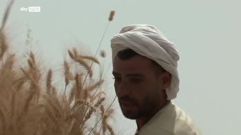 Vertice UE, capi di Stato e Governo decidono su scorta navale a grano ucraino