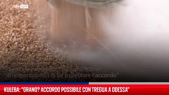 Kuleba: "Grano? Accordo possibile con tregua a Odessa"