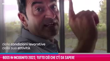 VIDEO Boss in incognito 2022, tutto ciò che c'è da sapere