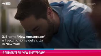 VIDEO New Amsterdam, 5 curiosità sulla serie tv