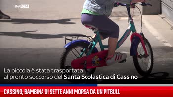 Cassino, bambina di sette anni morsa da un pitbull