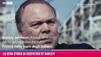 VIDEO La vera storia di Godfather of Harlem