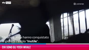 VIDEO Chi sono gli Yosh Whale