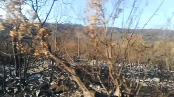 ERROR! Il Carso ancora in balia del fuoco, le fiamme divampate in una zona boschiva dietro al Duino