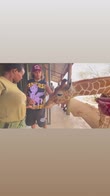 hamilton cuccioli elefanti giraffe kenya
