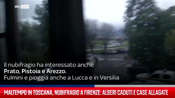 Maltempo in Toscana, nubifragio a Firenze: alberi caduti e case allagate