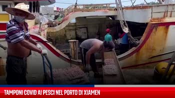 Cina, tamponi Covid ai pesci nel porto di Xiamen