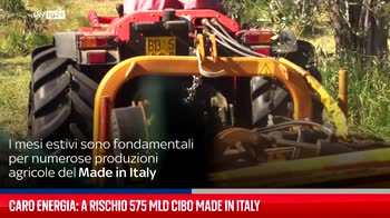 Caro energia: a rischio 575 mld cibo made in Italy