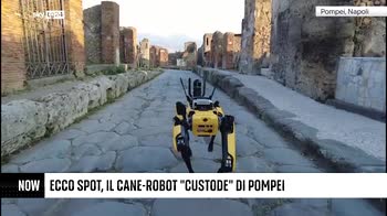 ++NOW Spot, il robot custode di Pompei
