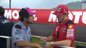 BESTIA PECCO_1737832