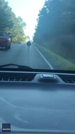 Emu  visto passeggiare su un'autostrada dell'Alabama