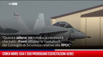Corea Nord: Usa e Sud prorogano esercitazioni aeree