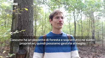 In Francia i collettivi di cittadini che comprano le foreste