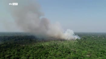 Brasile, l'impegno del governo Lula per l'Amazzonia