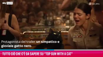 VIDEO Tutto ciò che c'è da sapere su "Top Gun with a Cat"