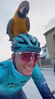 ciclismo-pappagallo-scarponi-video