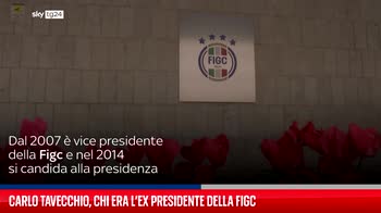Morto Carlo Tavecchio, ex presidente Fgci