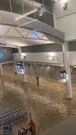 Alluvioni Nuova Zelanda, l'aeroporto di Auckland allagato