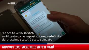 Whatsapp, ecco i vocali nello stato: le novit�