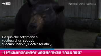 VIDEO Regista di Cocainorso vorrebbe dirigere Cocain Shark