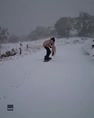 Neve in Australia, postino si fa trascinare da cane
