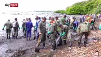 Mauritius, petroliera incagliata, disastro ambientale